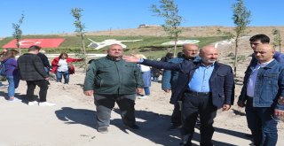 Kocasinanda Yeşil İle Mavinin Ahengi