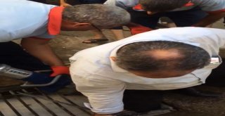 Ayağı Mazgala Sıkıştı Ekipler Kurtardı