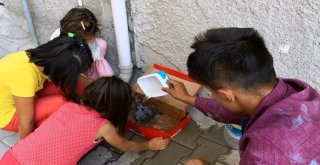 Çocuklar Yaralı Güvercin İçin Seferber Oldular