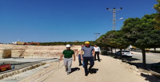 Nesibe Aydında Çalışmalar Sürüyor