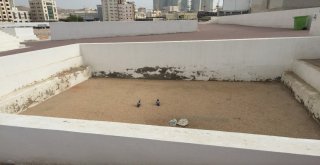 Hacı Adayları Eshab-I Kirama Koşuyor