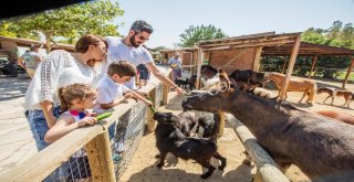 Doğal Yaşam Bayram Etti