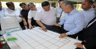 Buharaya 30 Bin Dekar Sera Antalyadan