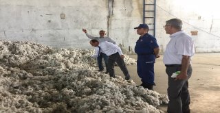 Sökede Gece Pamuk Hasadına Yasak