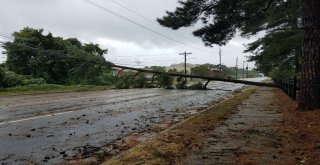 Aydında İzinlere Tropik Fırtına İptali