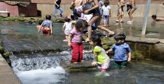 Güneşi Gören Kaçtı