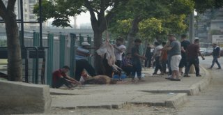 Kurban Keserken Ne Cezaya Ne De Çocuklara Aldırmadılar