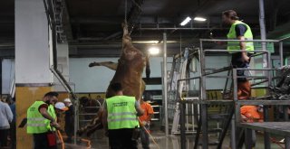 Monoray Sistem İle 4 Dakikada Kurban Kesimi