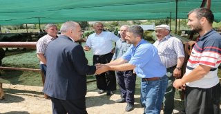 Başkan Öztürk Kurban Pazarını Ziyaret Etti