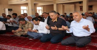 Hakkaride Şehitler İçin Mevlit Okutuldu