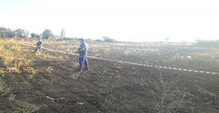 Pulluktaki Otları Temizlerken Canından Oldu