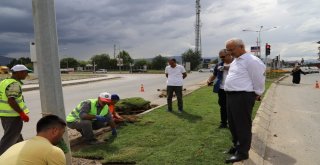 Başsoy: Türkiyenin En Yeşil Şehirlerinden Biri Olma Yolunda İlerliyoruz