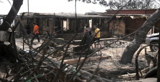 Yunan Uzmandan İklim Değişikliklerine Karşı Harekete Geçme Çağrısı