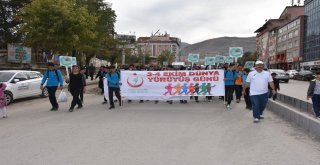 Muşta Dünya Yürüyüş Günü Etkinliği