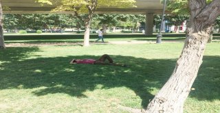 Sıcaklardan Bunalanlar Ağaç Gölgesinde Serinliyor