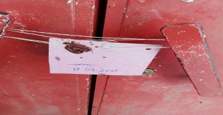 Depoya Giren Zabıta Ekipleri Gözlerine İnanamadı