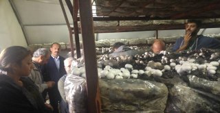 Erzincanlı Çiftçiler Tarım Fuarına Katıldı