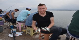 Amatör Balıkçıların Çinekop Avı