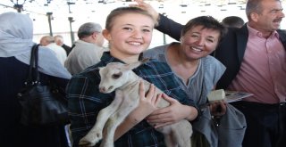 Bu Da Çobanların Festivali