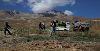 Erciyesten Toplanan Tohumlar Erciyese Dikiliyor