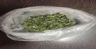 Uyuşturucu Kullanırken Yakalanan 5 Kişi Gözaltına Alındı