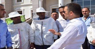 Genç Çiftçilere Arı Ve Arıcılık Malzemeleri Dağıtıldı