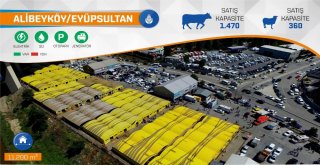 İbb, Kurban Bayramına Hazır