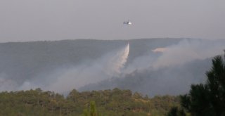 Tavşanlıdaki Orman Yangınını Söndürme Çalışmaları Sürüyor