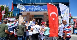 Hayvanseverlere Kedi Ve Köpekler İçin Kap Ve Mama Dağıtıldı