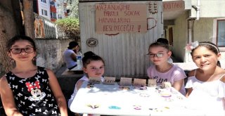 Miniklerden Sokak Hayvanları İçin Anlamlı Proje