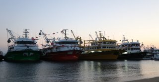 Balık Sezonun Açılmasına Saatler Kala Tüm Hazırlıklar Tamam