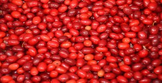 Her Derde Deva Yerli Kızılcık Pazar Tezgahlarında