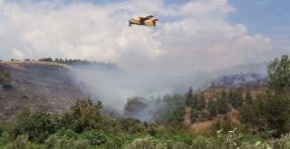 Osmaniyede Orman Yangını