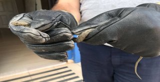 İtfaiyeye Gelen Küçük Yılan Yakalanıp Doğaya Salındı