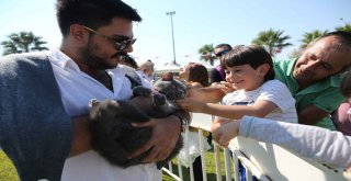 Karşıyakada En Sevimli Festival