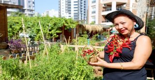 Hobi Bahçesi İle Yaşama Tutunuyor