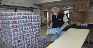 Tmsf Şirketi Vahdet Süt, İhracat Atağı Başlattı