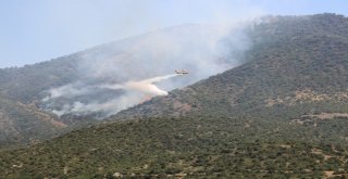 Ormana Sıçrayan Yangına, Uçakla Müdahale