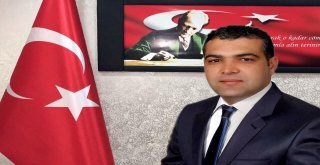 Antbirlikten Dolar Resti