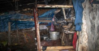 Gümüşhanede Teröristlere Ait Sığınak Ele Geçirildi