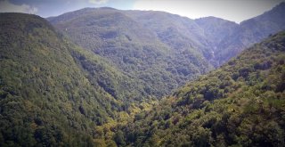 (Özel Haber) Tarihi Manastırları Arkeologlar Yerine Defineciler Kazıyor