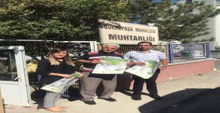 Edirnede Muhtarlıklar Yarışıyor