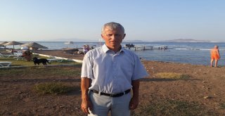 Foça Kaymakamından Yakıt Sızıntıyla İlgili Açıklama: Faili Aranıyor