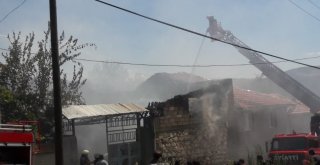 Köyde Çıkan Yangında 2 Büyükbaş Hayvan Ve 2 Köpek Telef Oldu