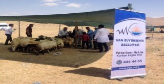 Kurban Kesim Alanları Denetlendi