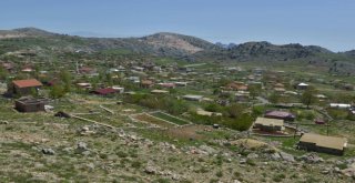 Feslikan Yaylasına Toplu Ulaşım Seferleri Başlıyor