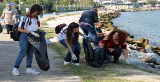 Yalovada Çevre Temizliği