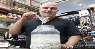 (Özel) Kenger Sakızı Dolarla Yarışıyor