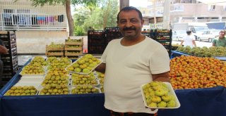 Yerel Geçelim Birecik İnciri Tezgahlardaki Yerini Aldı