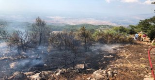 Piknik Yaparken Ormanı Yaktılar